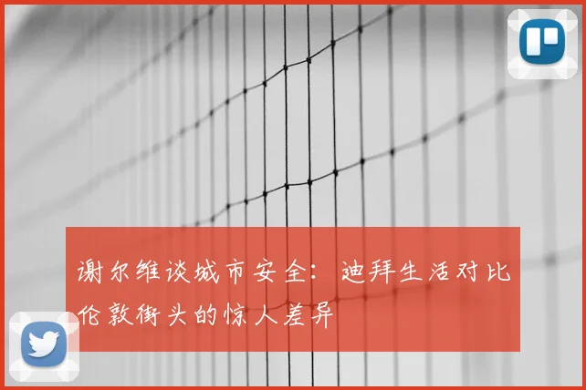 谢尔维谈城市安全:迪拜生活对比伦敦街头的惊人差异